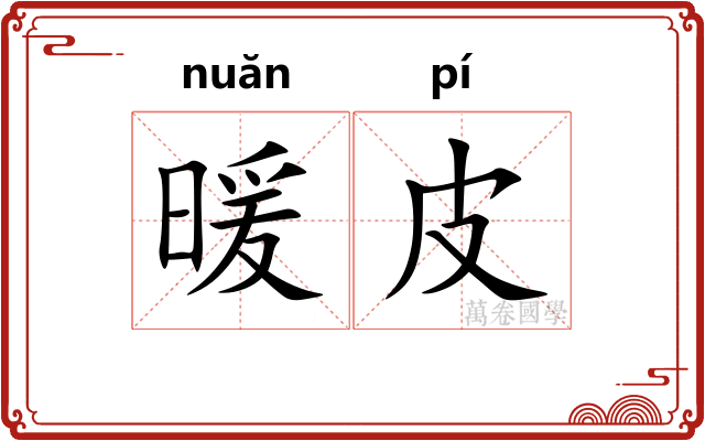 暖皮