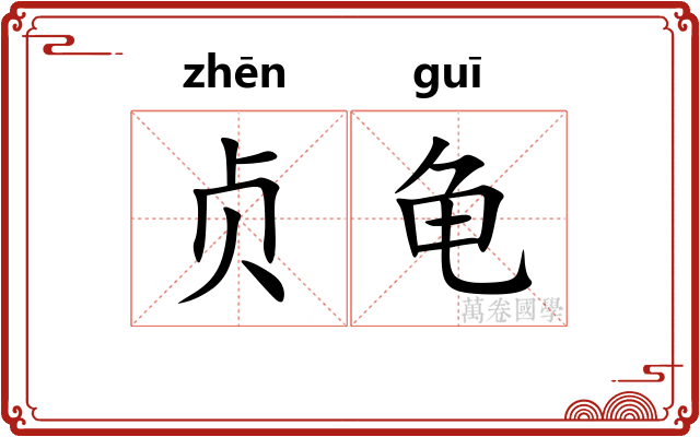 贞龟