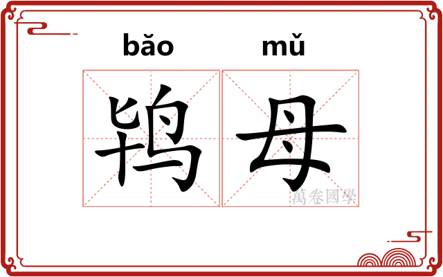 鸨母