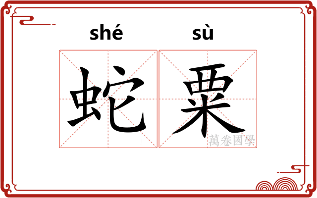 蛇粟