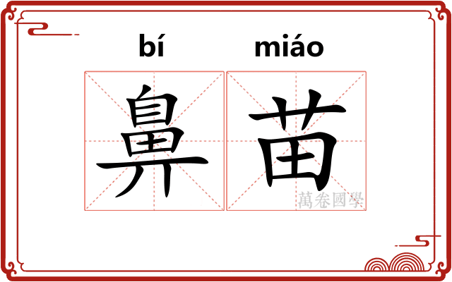 鼻苗