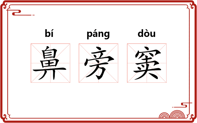 鼻旁窦