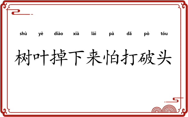 树叶掉下来怕打破头 树叶掉下来怕打破头