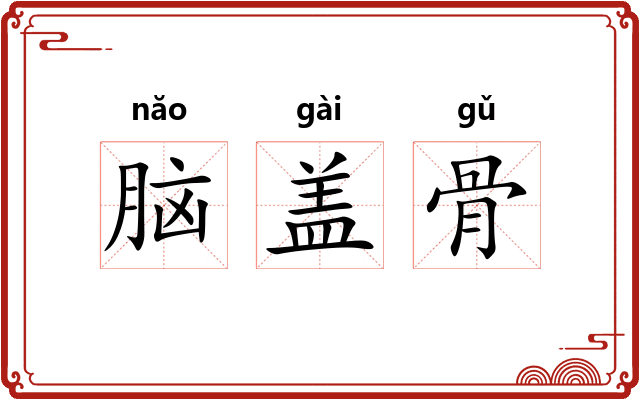 脑盖骨