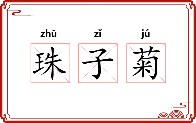 珠子菊