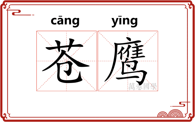 苍鹰