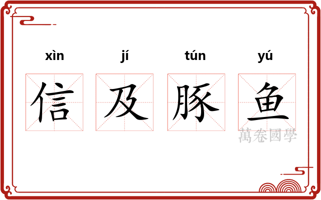 信及豚鱼