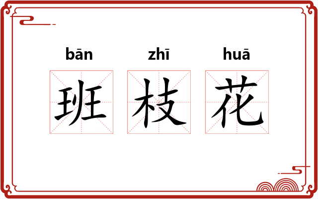 班枝花