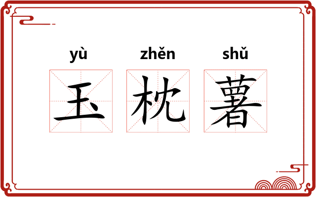 玉枕薯