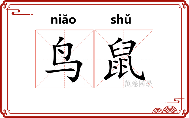 鸟鼠