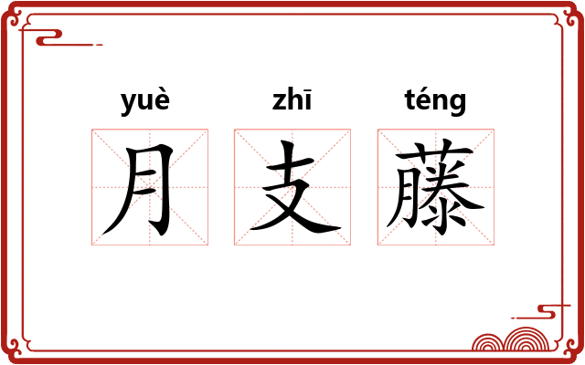 月支藤 月支藤