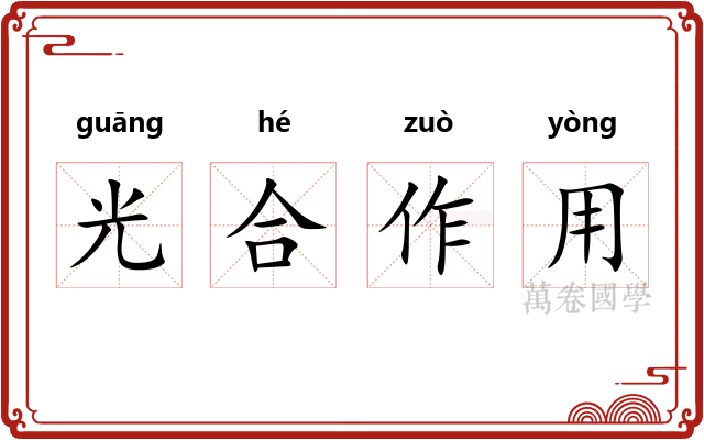 光合作用