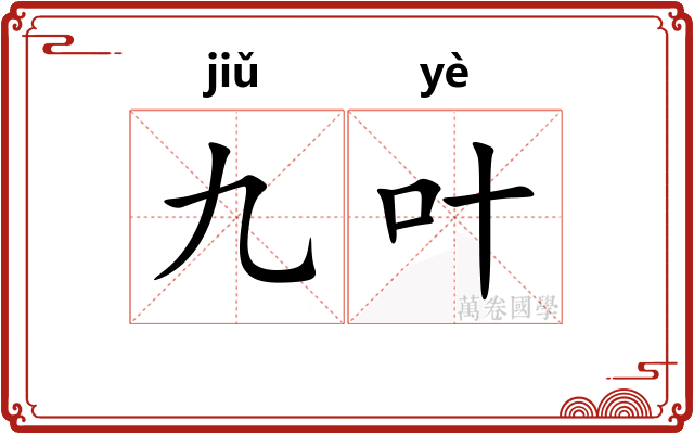九叶
