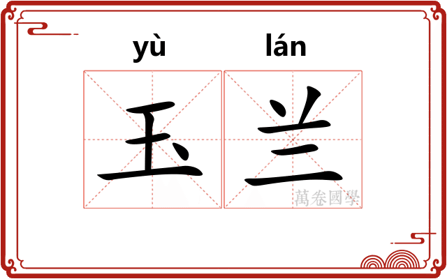 玉兰 玉兰