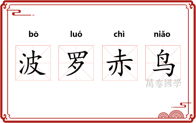 波罗赤鸟