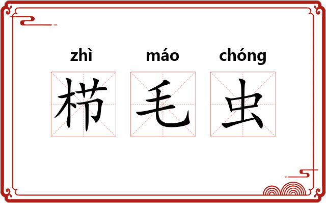 栉毛虫