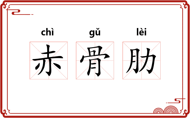 赤骨肋