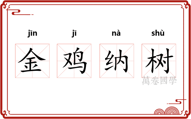 金鸡纳树 金鸡纳树