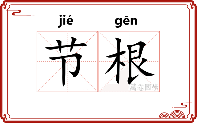 节根