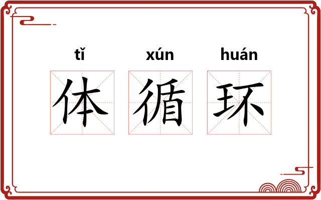 体循环 体循环