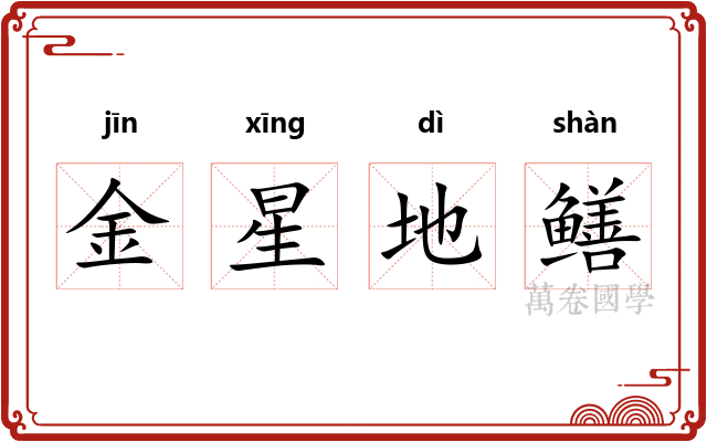 金星地鳝 金星地鳝