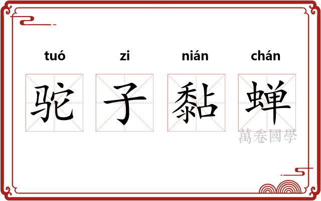 驼子黏蝉 驼子黏蝉