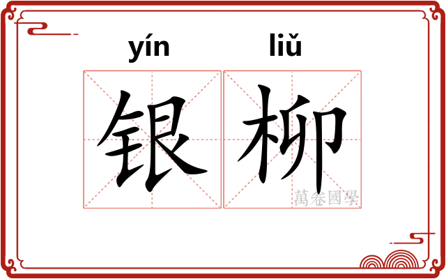 银柳 银柳