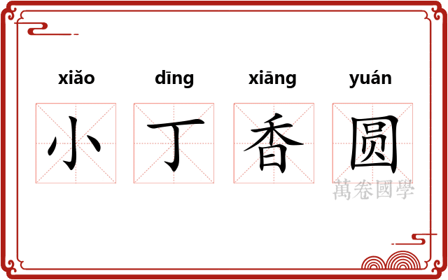 小丁香圆