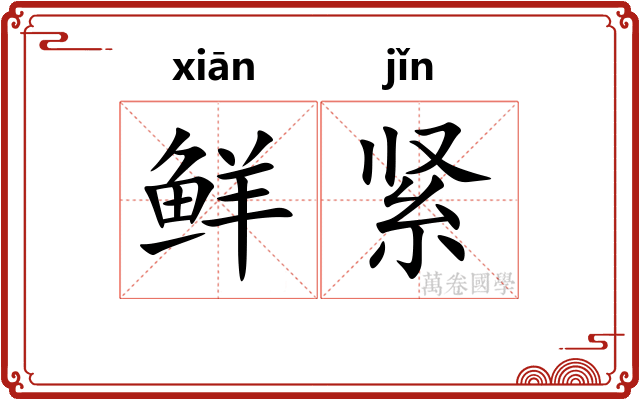 鲜紧 鲜紧