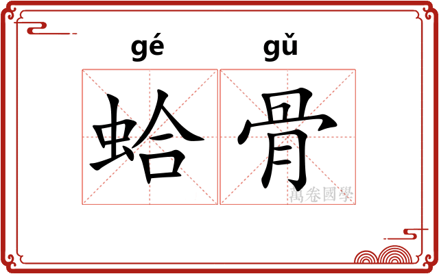 蛤骨 蛤骨