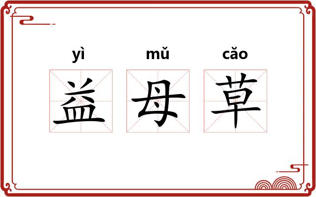 益母草