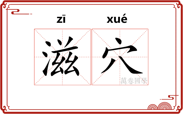 滋穴