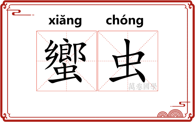 蠁虫