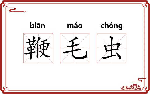 鞭毛虫 鞭毛虫