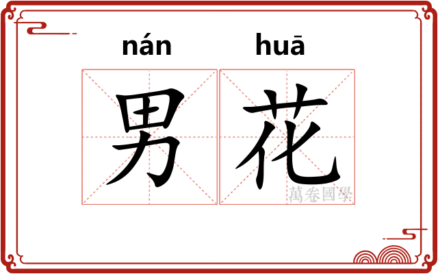 男花