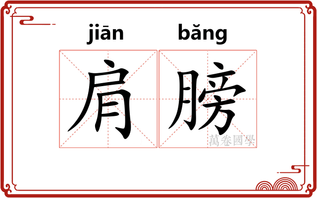 肩膀