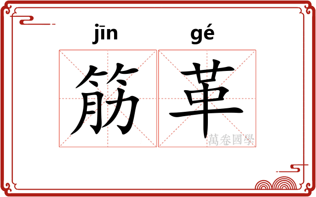 筋革