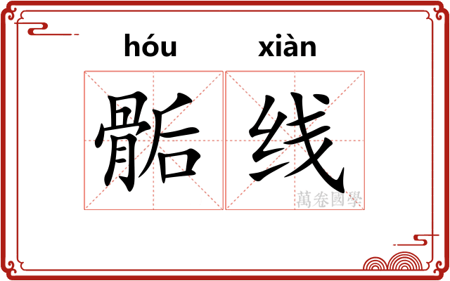 骺线