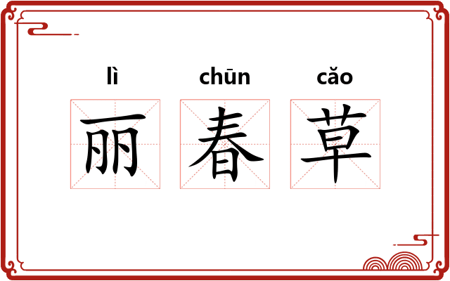 丽春草