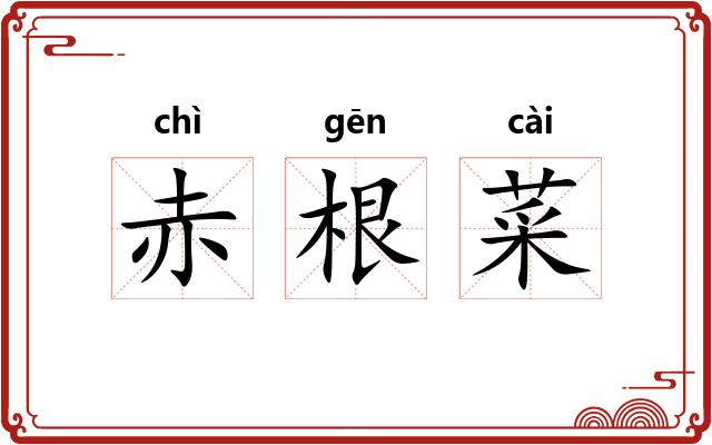 赤根菜