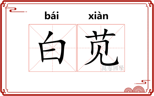 白苋