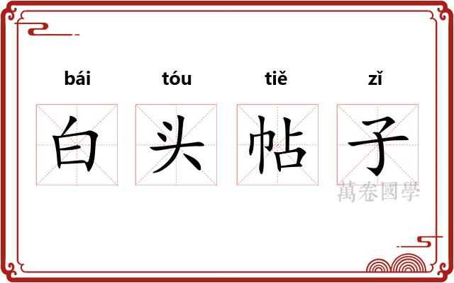 白头帖子