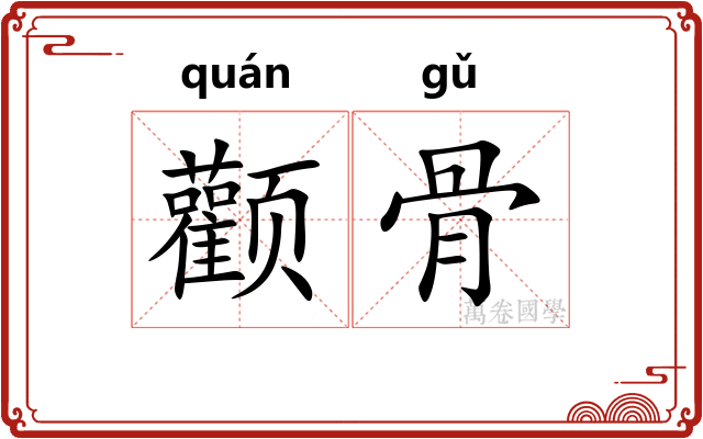 颧骨
