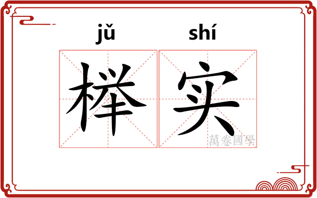 榉实