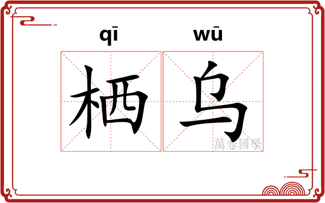 栖乌