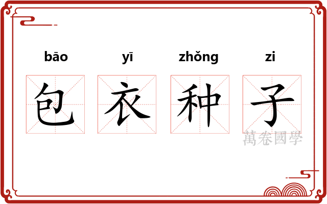 包衣种子