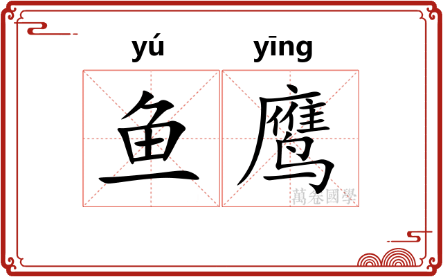 鱼鹰