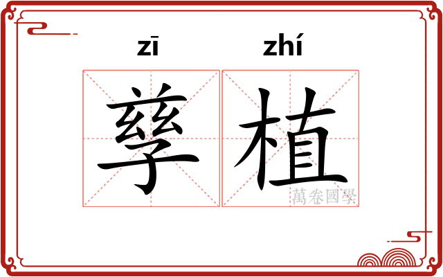 孳植
