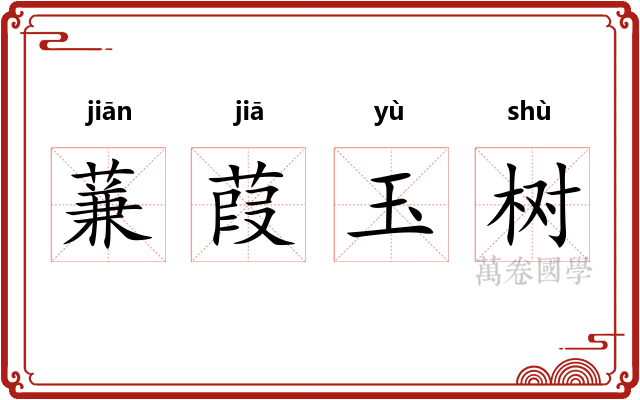 蒹葭玉树 蒹葭玉树