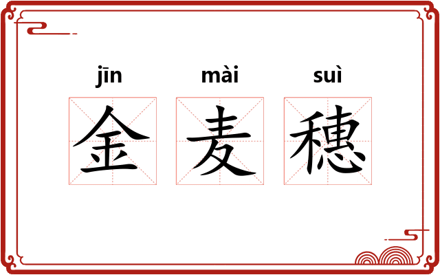 金麦穗 金麦穗